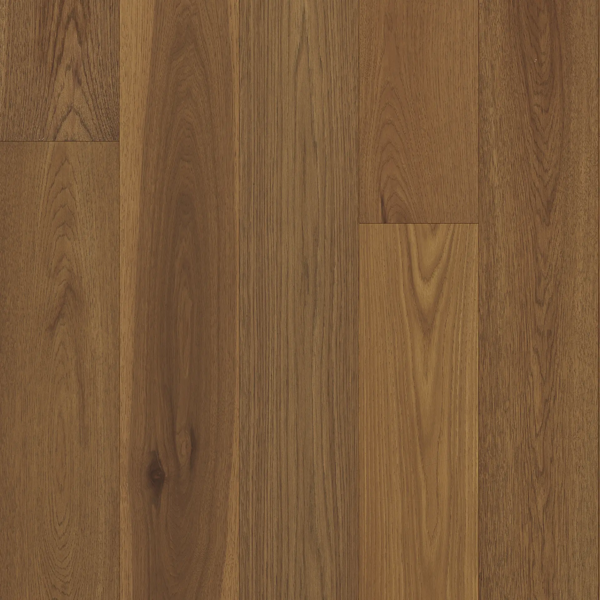 Tandem Russet