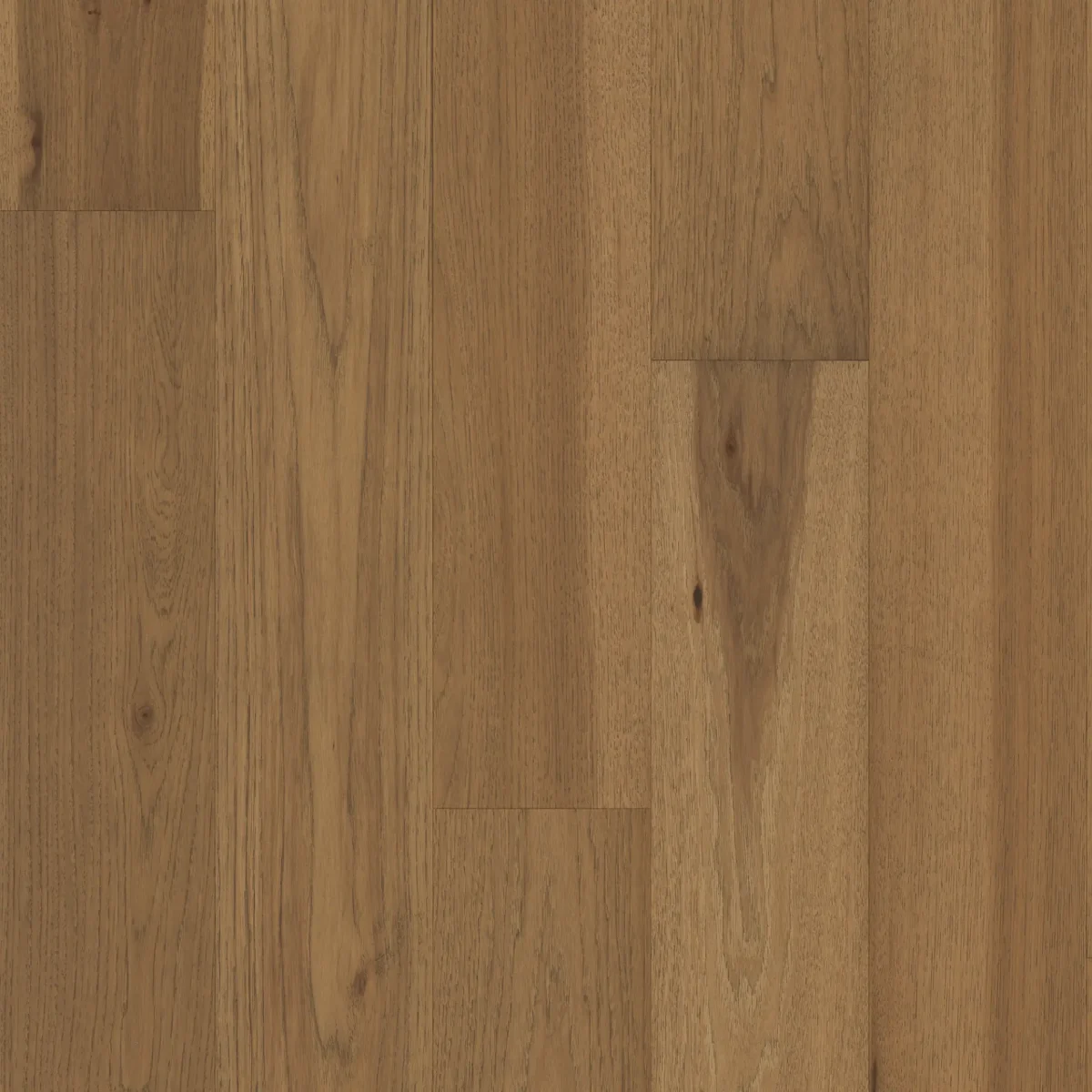 Tandem Sienna