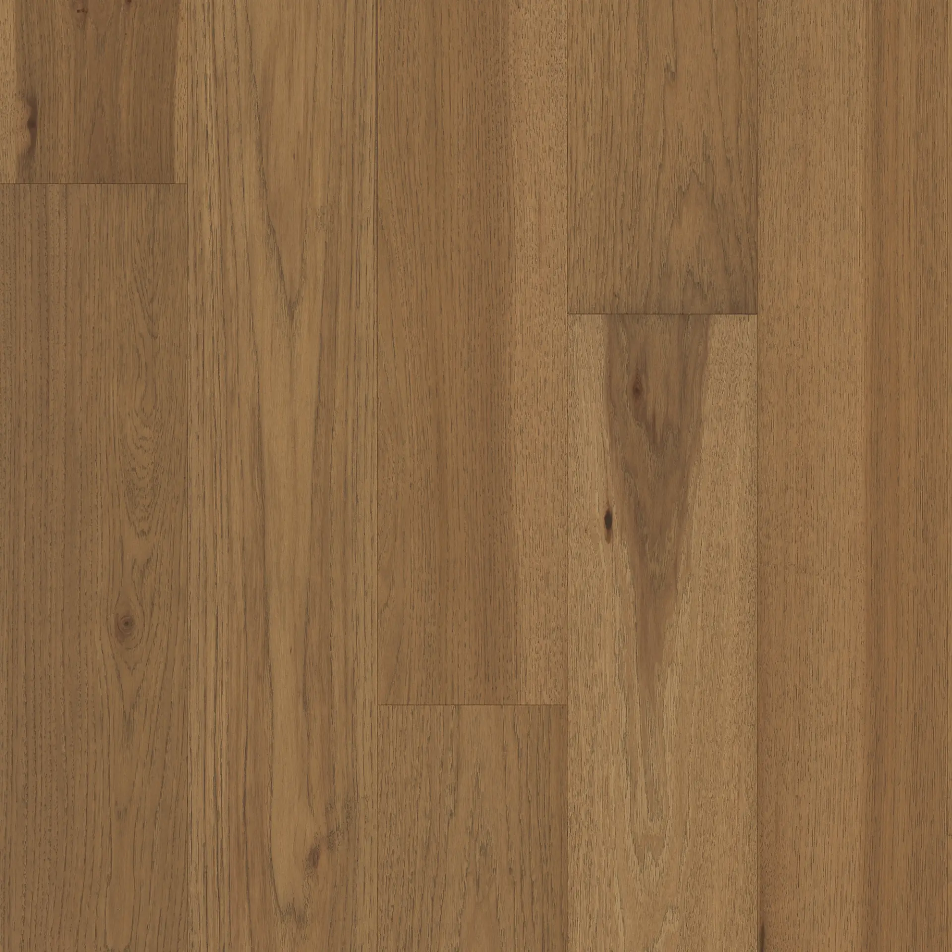 Tandem Sienna